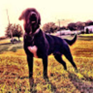 Meet your Posher, Jd